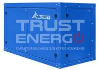 Дизельный генератор ТСС АД-24С-Т400-1РПМ20 (80313AM1P)