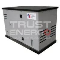 Газовый генератор REG ARCTIC GG10-380S с АВР