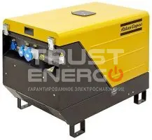 Бензиновый генератор Atlas Copco QEP S14 с АВР В кожухе Honda GX630 trustenergo.ru Бензиновый генератор Atlas Copco QEP S14 с АВР В кожухе Honda GX630 trustenergo.ru