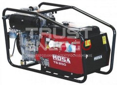 Сварочный генератор Mosa TS 250 KD/EL